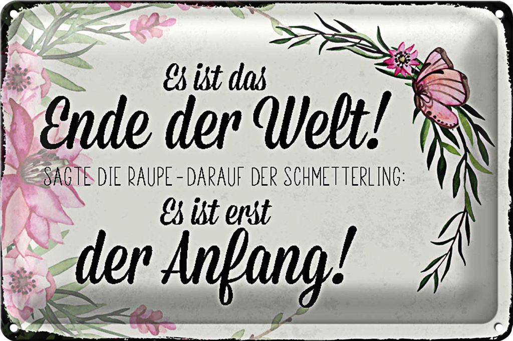 Blechschild Spruch 30x20cm es ist das Ende der Welt sagte