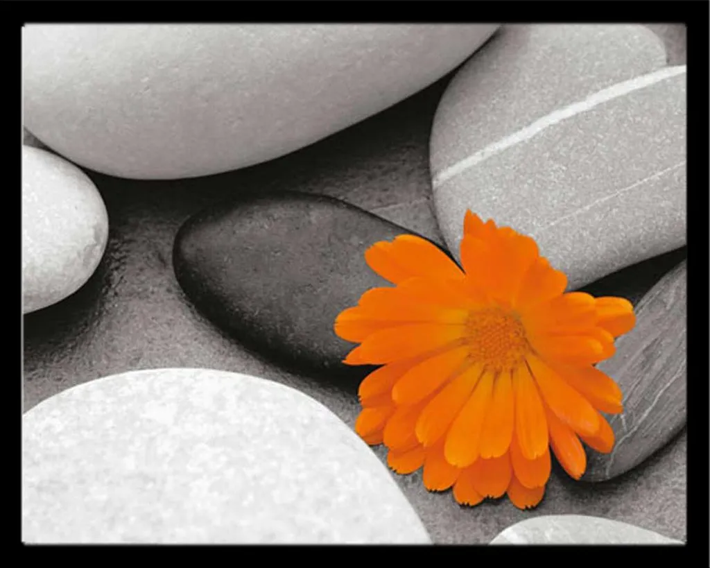 Mini Poster Motivational Pebbles Marigold Shinsuke cadre MDF noir 13x18cm