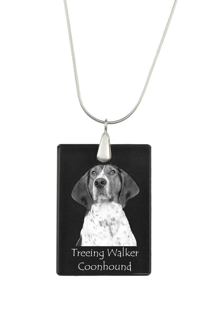 Treeing Walker Coonhound - Kristallanhänger mit Hund, Silberhalskette mit Foto, personalisierter Anhänger der Marke Art-Dog