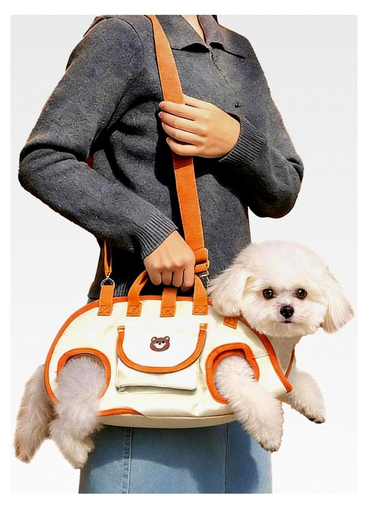 Hunde-Rucksack: Transportzubehör für Welpen 15 x 6 cm, Schultertrage für Haustiere, Ständer-Design