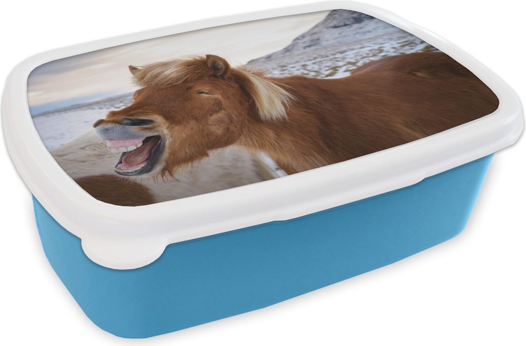 KitchenYeah Lunchbox Brotzeit Brotdose 17x11 cm Lächelndes Islandpferd bei Sonnenuntergang Kinder Brotzeitdose - Lunch - Kunststoff - Brotbüch...