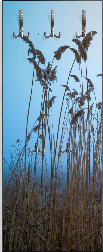 Wallario Flurgarderobe Wandgarderobe aus Holz, mit 5 Haken, Größe 50 x 125 cm, Motiv Schilfrohr am See vor blauem Himmel