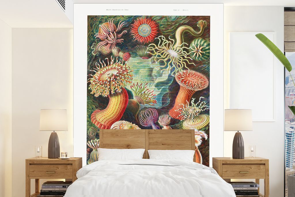 MuchoWow Fototapete für Wohnzimmer oder Schlafzimmer Wandtapete Vinyl Motivtapete Ernst Haeckel - Anemone - Retro - Natur - Pflanzen - Meer - 19...