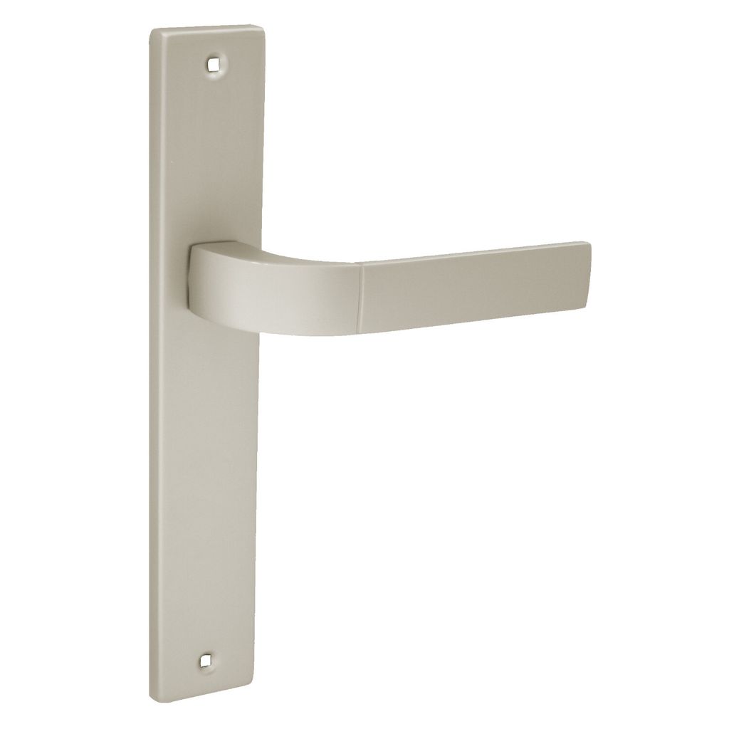 A single door handle with a backplate, shown against a white background.