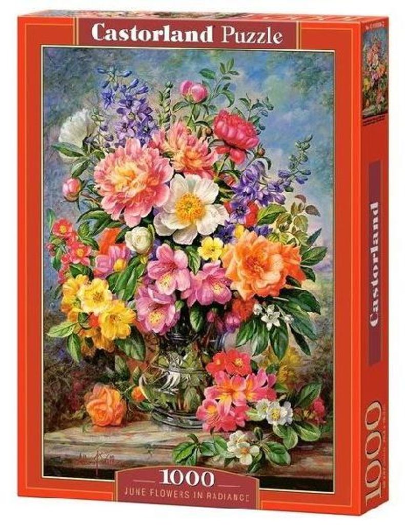 Castorland 1000-teiliges Puzzle, Juni-Blumen in voller Produktbild 