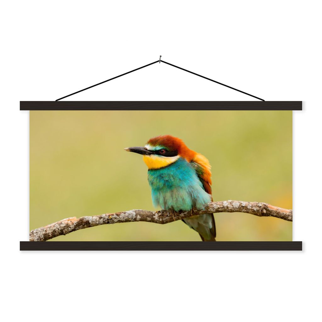 MuchoWow Textilposter Vogel - Bienenfresser - Tiere 60x30 cm mit schwarzem Rahmen - Textilien