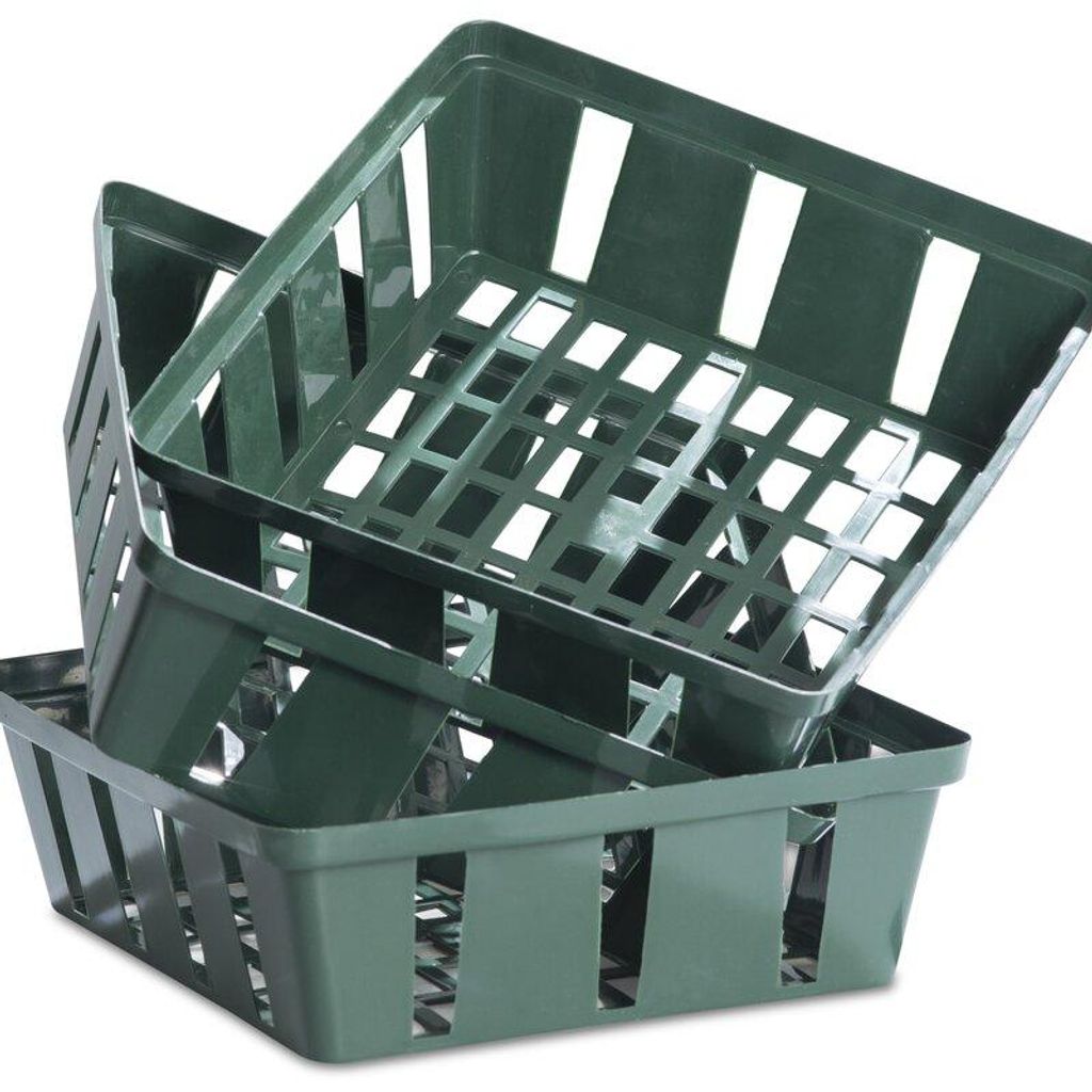 Blumenzwiebel-Pflanzschale eckig, 3 Stück Produktbild 
