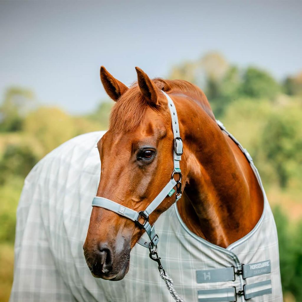 Horseware Newmarket Headcollar & Leadrope, Größe:Pony, Farbe:Witney Charcoal