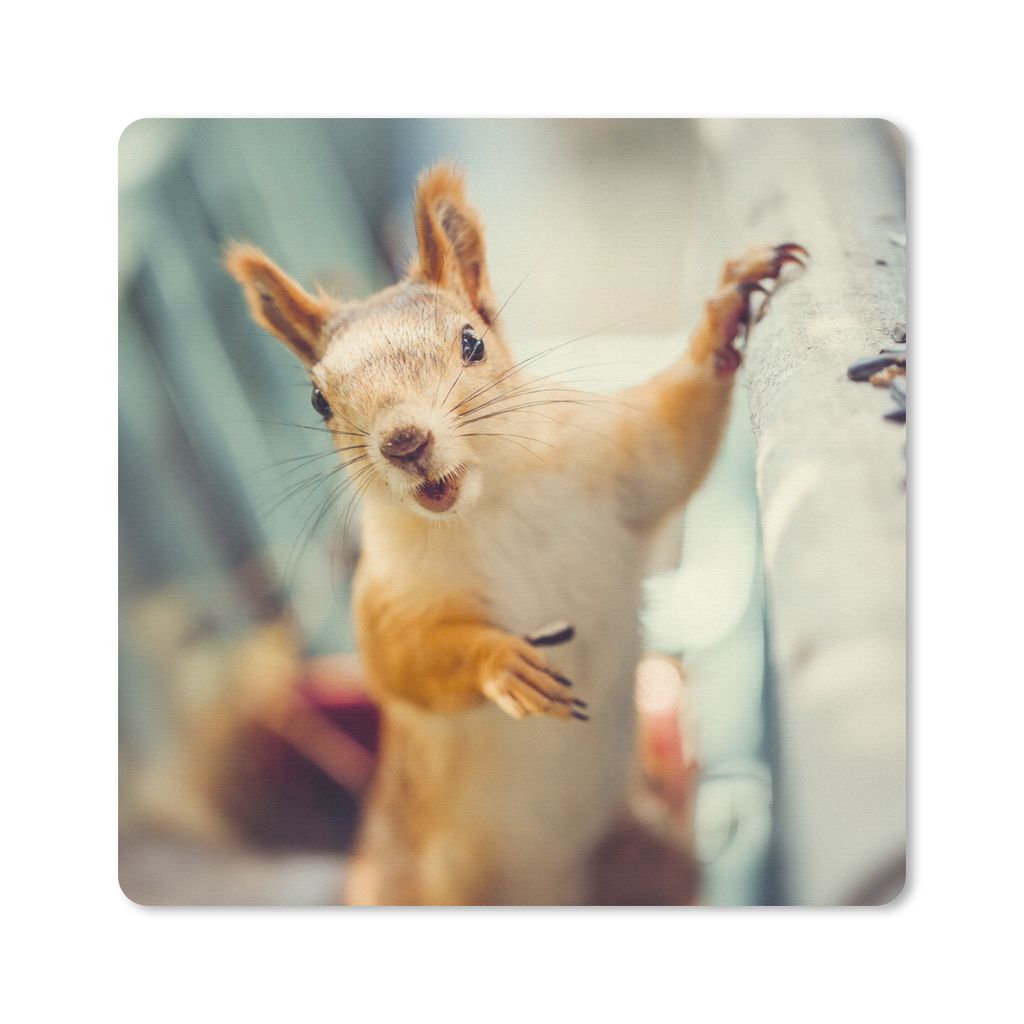 MuchoWow Mauspad Mousepad Eichhörnchen - Tier - Herbst - Porträt 30x30 cm - Mousepads - Maus Mat - Pad - Mausunterlage - Gaming