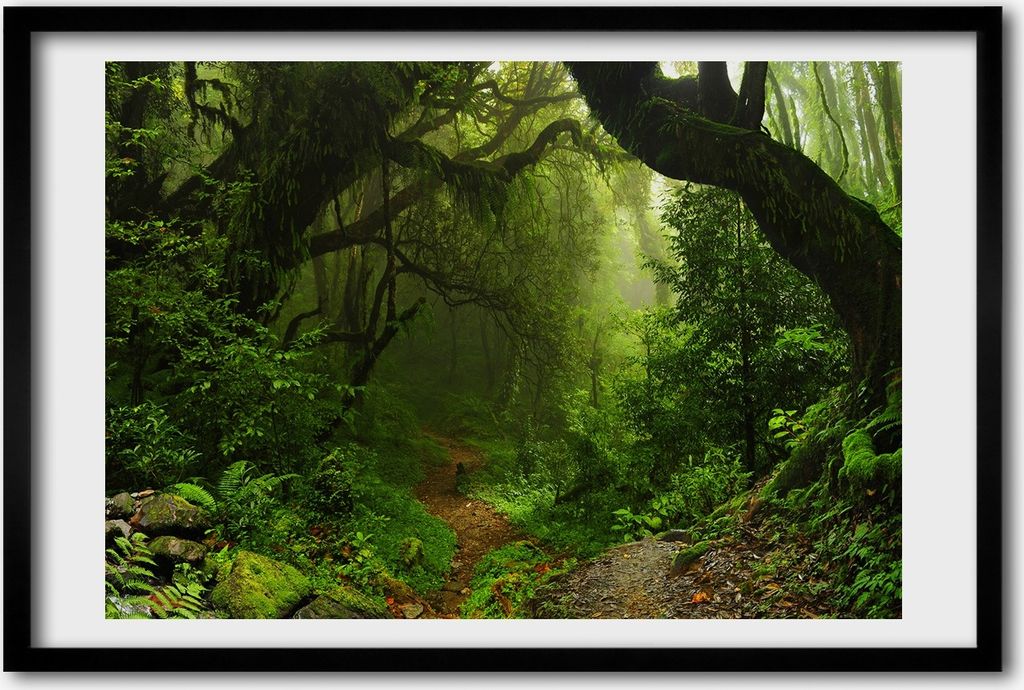 Bild 60x40 MDF-Rahmen, Wandkunst Dschungel in Nepal