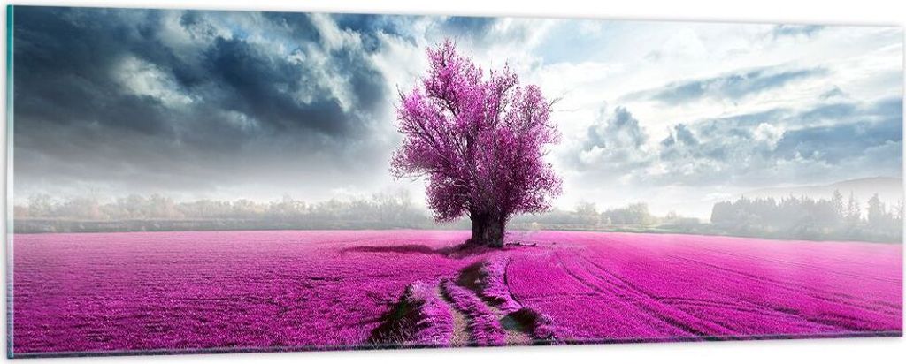 Bilder auf glas - Heidefeld Baum Wolken Landschaft - 90x30cm - Glasbilder - Wandbilder - Kunstdruck - zum Aufhängen bereit - Wanddekoration aus Gl...