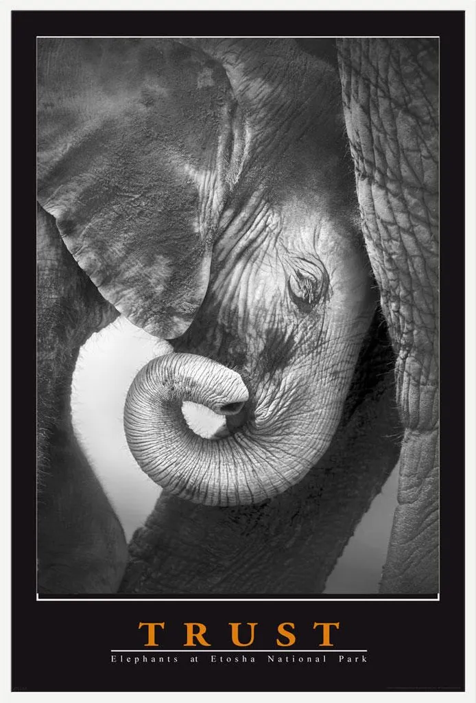 Décoration murale Bureau Éléphant Trust et cadre blanc Shinsuke® Maxi