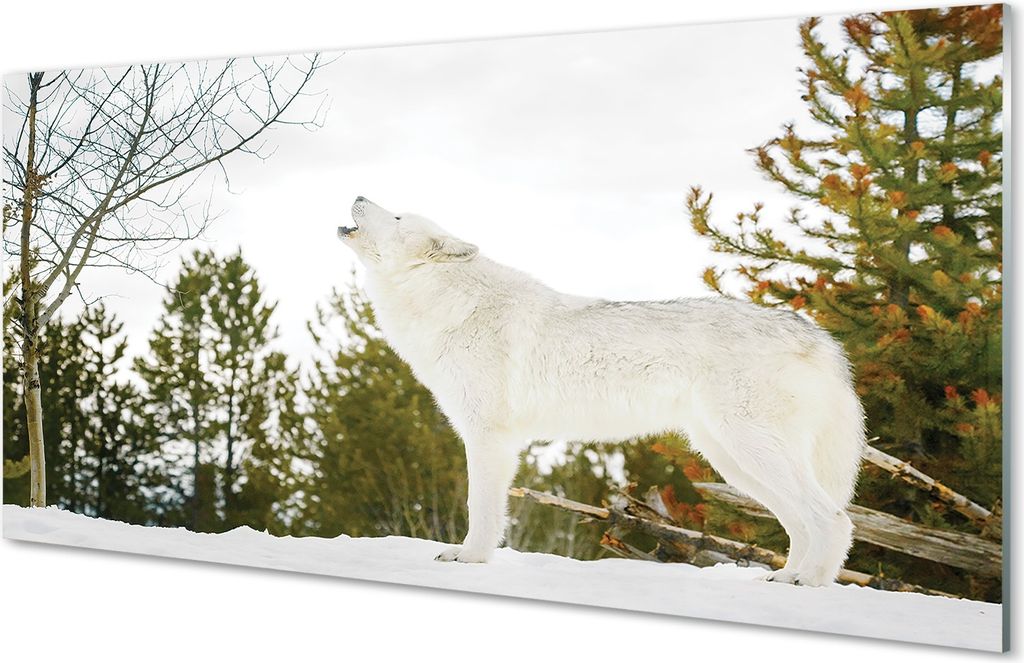 Glasbilder 120x60 Wandkunst Wolf Winterwald
