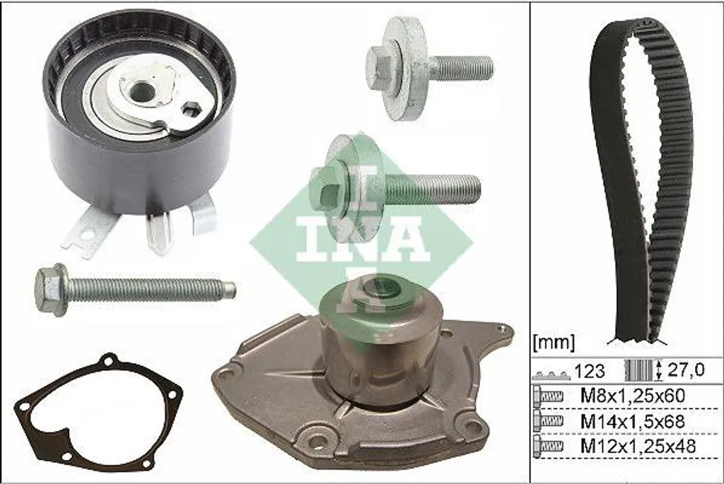 INA 530 0197 31 Kit Courroie Distribution avec Pompe à Eau 119A02421R