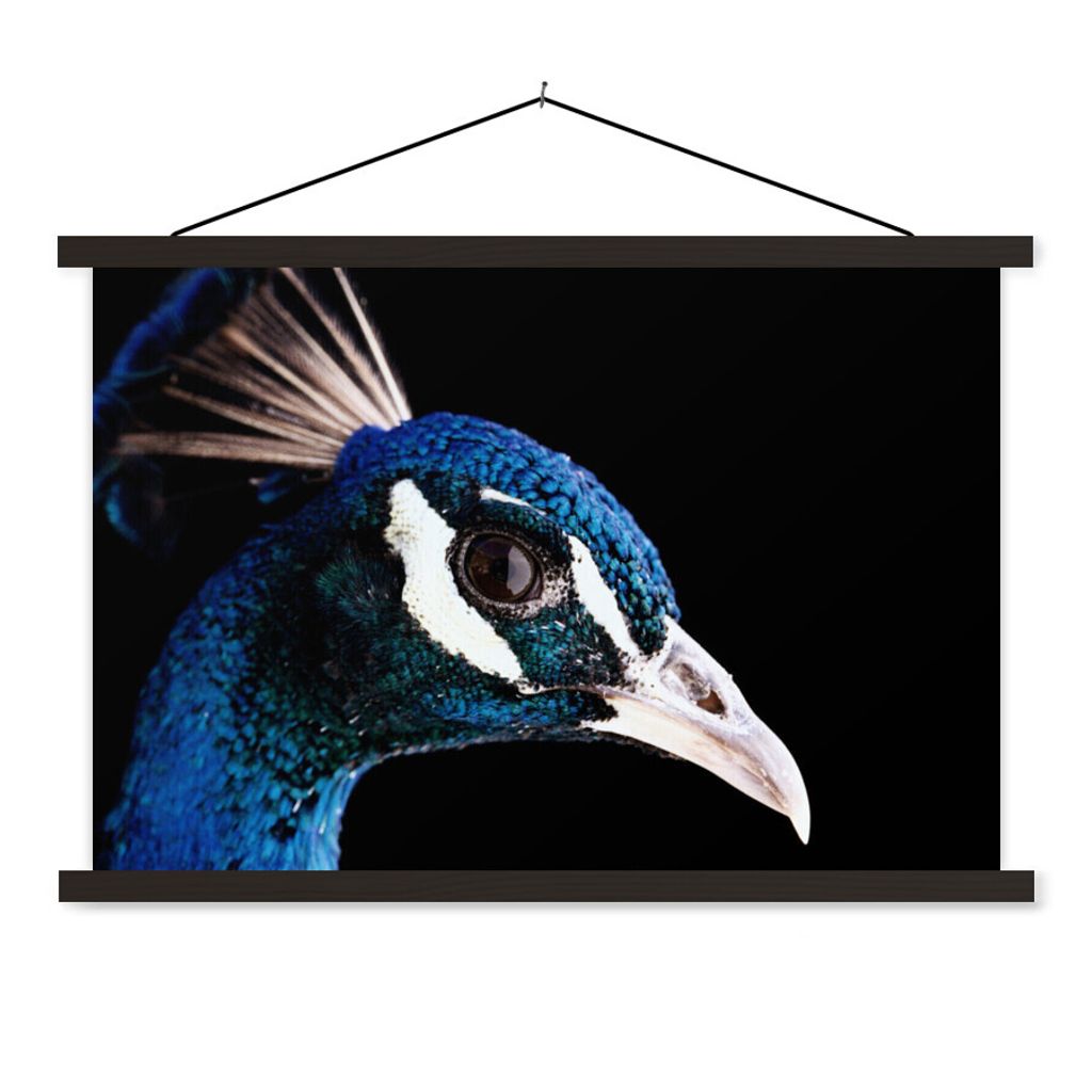 MuchoWow Textilposter Pfau - Tier - Blau 90x60 cm mit schwarzem Rahmen - Aufhängungssatz