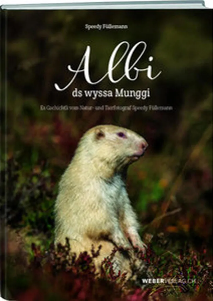 Marmotte en Peluche Albi ds wyssa Munggi avec Finition Suisse Premium