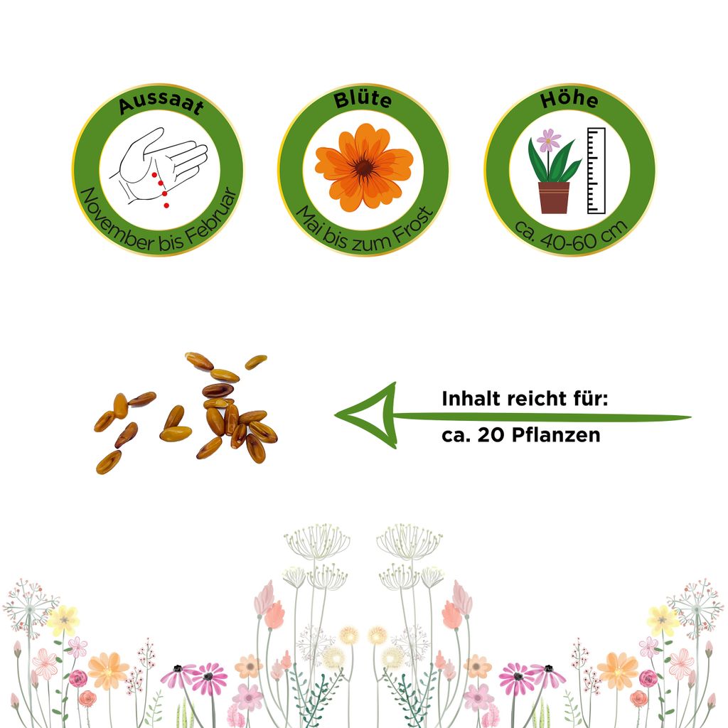 Hängegeranien Mischung Samen - Pelargonium peltatum - Produktbild 2