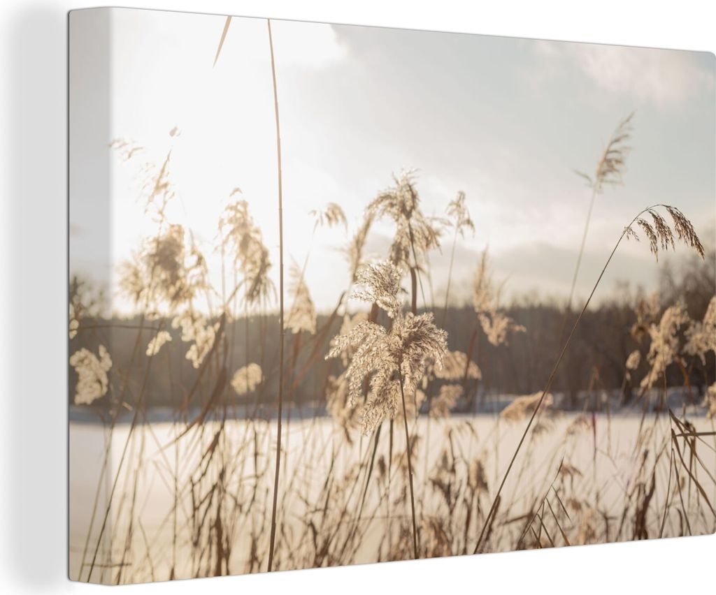 MuchoWow - Leinwandbilder - Wasser - Pampasgras - Pflanzen, Wandbild, Wanddeko Bilder Wohnzimmer, 120x80 cm