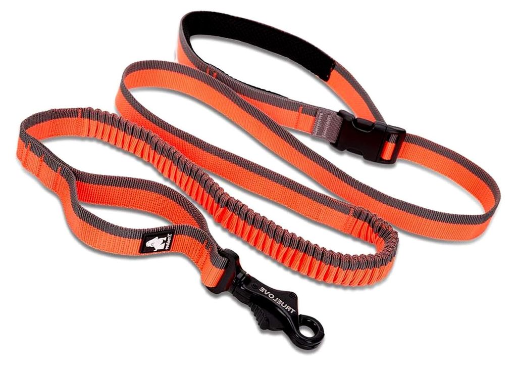 Outdoor Trainings-Hundeleine, Robust, Gepolstert, Freihändig, Für Zwei Hunde