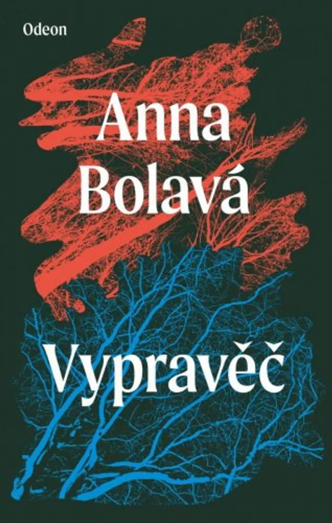 Vypravěč Bolavá Anna Roman Littéraire avec Réalisme Magique et Suspense