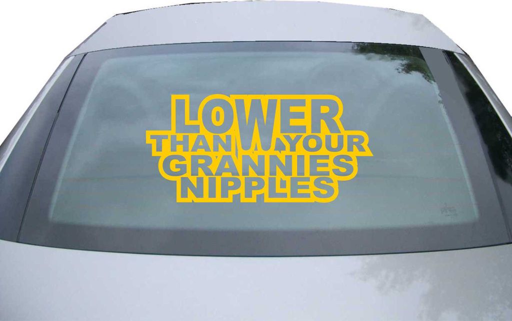 Indigos UG - Aufkleber Heckscheibe & Motorklappe DE6051 - gold - 600x285 mm - Lower than your grannies nipples - Auto Scheiben Fenster Heckklappe T...