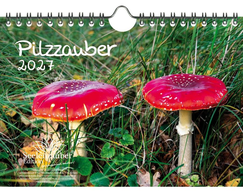 Pilzzauber DIN A5 Kalender für 2027 Pilz Wald - Seelenzauber