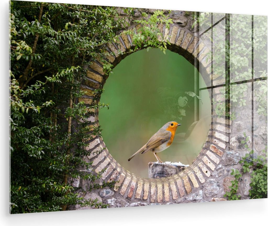 MuchoWow Glasbilder - Bilder auf Wandbild - Foto auf Glas Vogel - Durchblick - Rotkehlchen 30x20 cm Wanddekoration aus Glas - Acrylglasbild - Acryl...