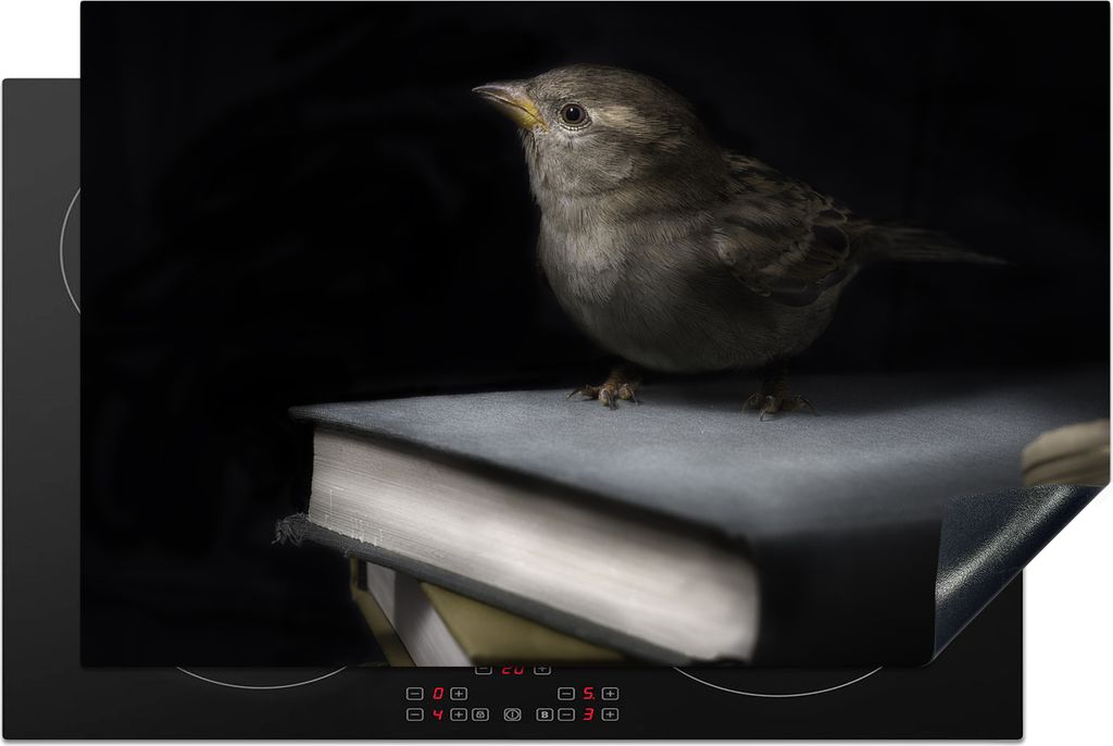 KitchenYeah Herdabdeckplatte Vogel - Bücher - Porträt , 81x52cm, Küche Deko, Glaskeramikkochfeld Herdabdeckung, Abdeckplatte fùr Kochfeld