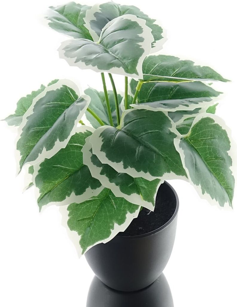 DPI Efeu Gloire de Marengo Grünpflanze 32 cm - Kunstpflanzen