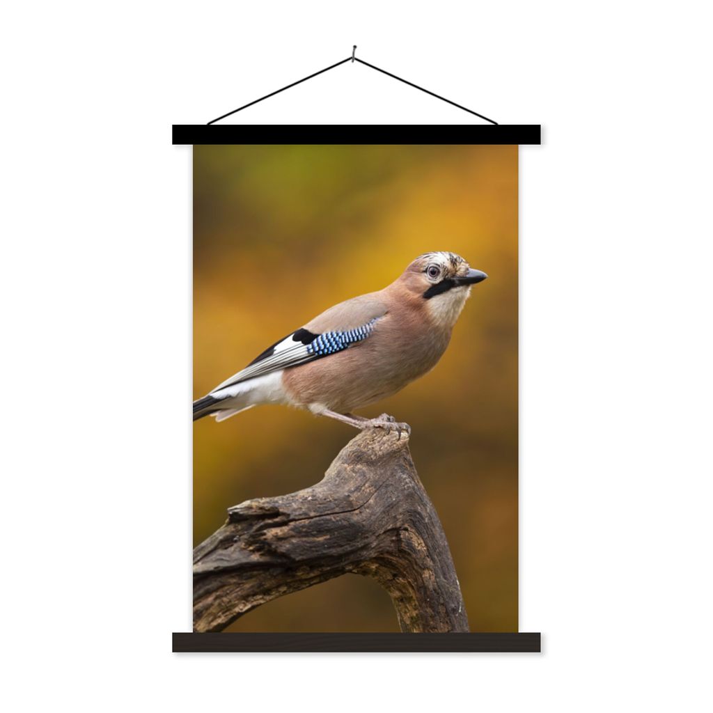 MuchoWow Textilposter Vogel - Zweig - Eichelhäher 60x90 cm mit schwarzem Rahmen - Poster Wohnzimmer