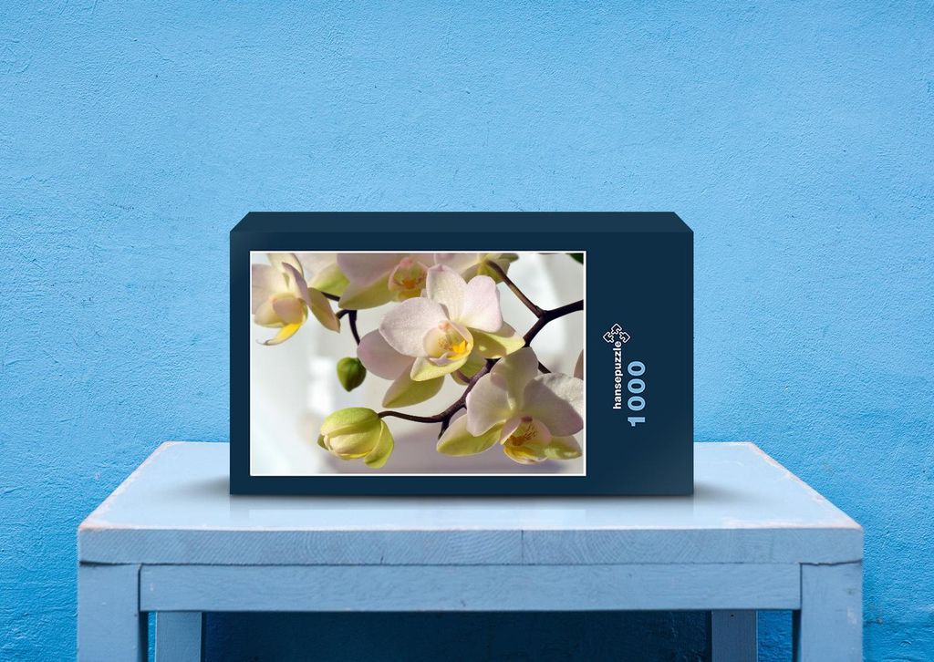 hansepuzzle 20386 - Orchidee Puzzle, 1000 Teile, Natur, 60,0 x 46,0cm mit hochwertiger Aufbewahrung, Kartonbox und wiederverschließbarem Beutel