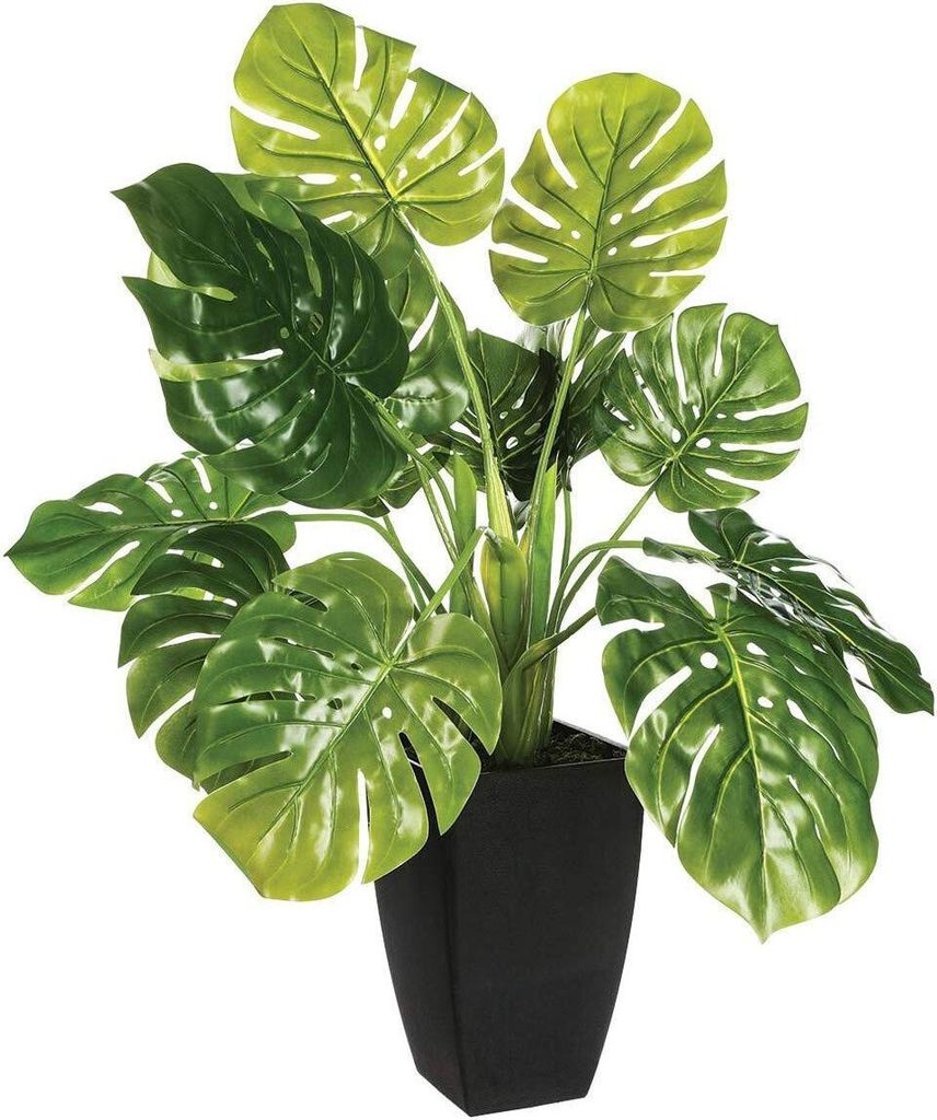 Umělá rostlina MONSTERA, 70 cm Obrázek produktu 
