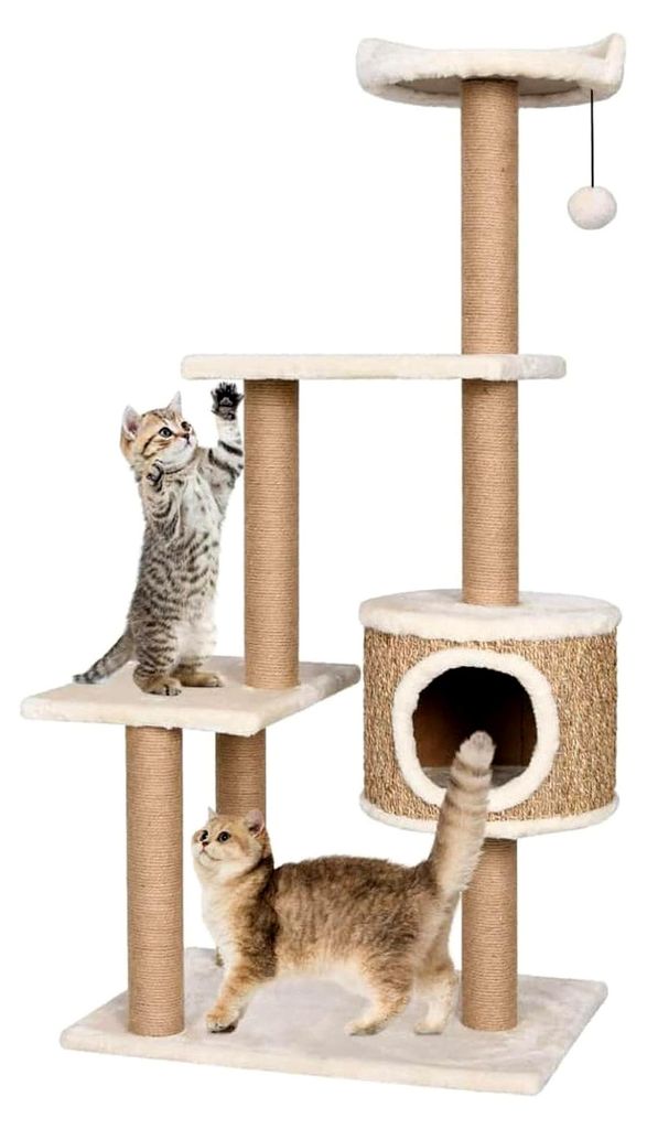 Katzenkratzbaum 123 cm aus Seegras, Katzenmöbel, Kratztonne für Katzen, Aktivitätskratzbäume, Katzenzubehör