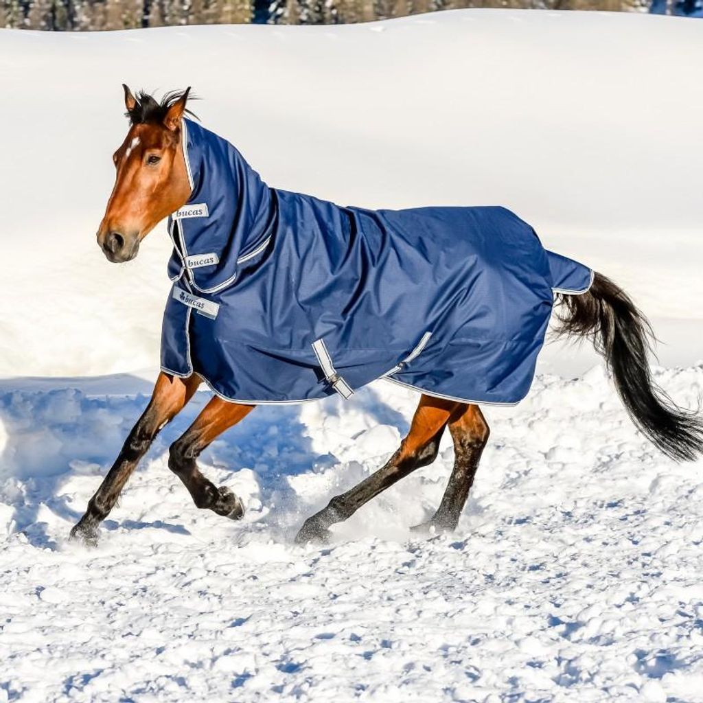 Bucas Freedom Turnout 300 g Full Neck, Weidedecke, Outdoordecke, Farbe:Navy/Silver, Größe:135