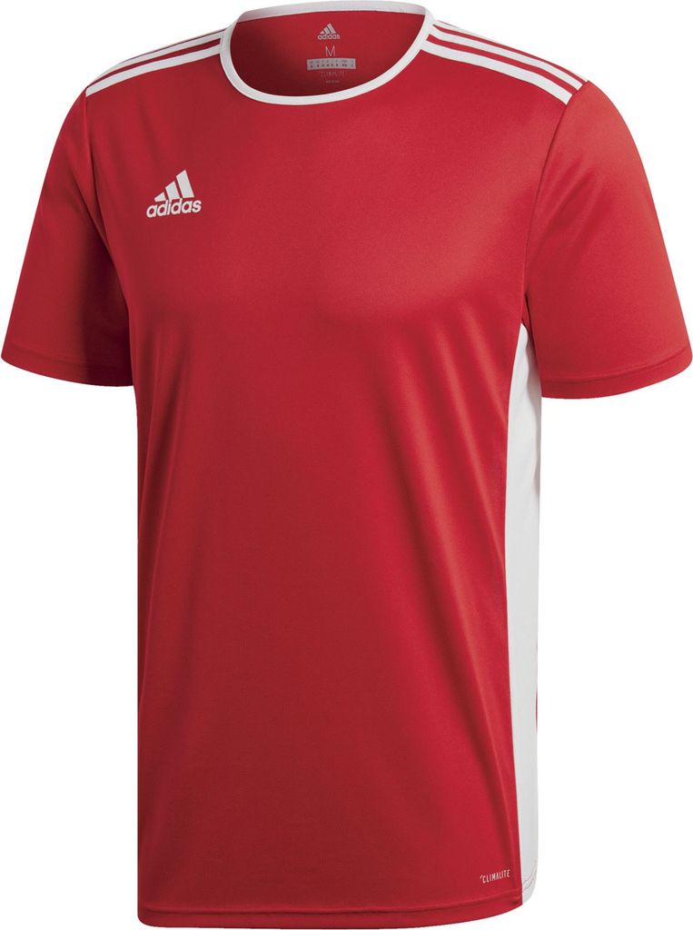Adidas Koszulki Entrada 18, CF1038, Größe: 176 Zdjęcie produktu