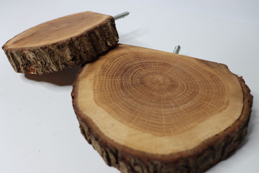 Two wooden slices with visible tree rings and bark, mounted on screws, against a white background.