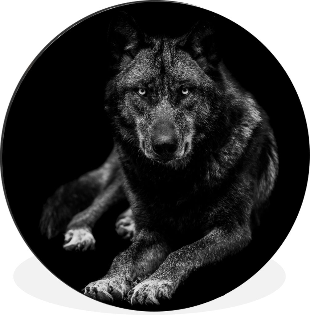 MuchoWow Aluminium Wandkreis Tiere - Wolf - Schwarz - Weiß - Porträt Ø 30 cm Wanddeko Modern Wohnzimmer - Wand Bild - Wohnzimmer - Runde Bilde...