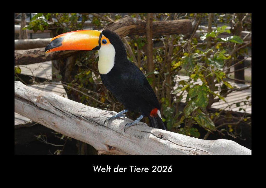 Welt der Tiere 2026 Fotokalender - Querformat DIN A3, Monatskalender mit Bild-Motiven von Haustieren, Bauernhof, wilden Tieren und Raubtieren