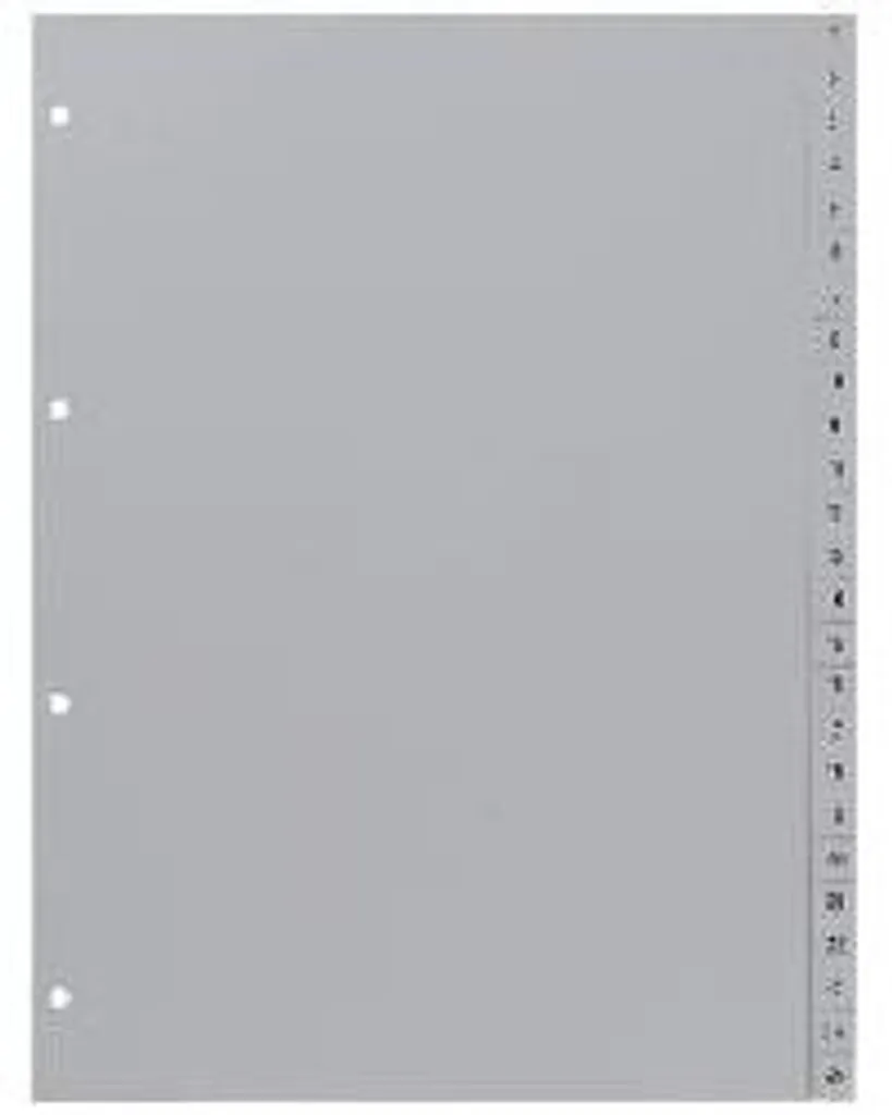Intercalaires HETZEL A4 en Polypropylène Gris de 1 à 100 pour Classeur - 2