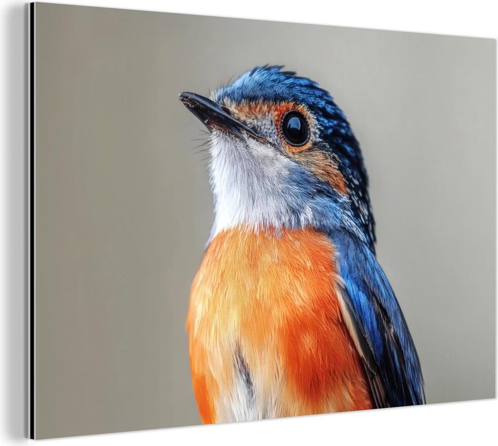 MuchoWow Wanddekoration Metall Metallbild Wandkunst 150x100 cm Bunt - Vogel - Federn - Blau MuchoWow Aluminium Gemälde - Alu Dibond Bild