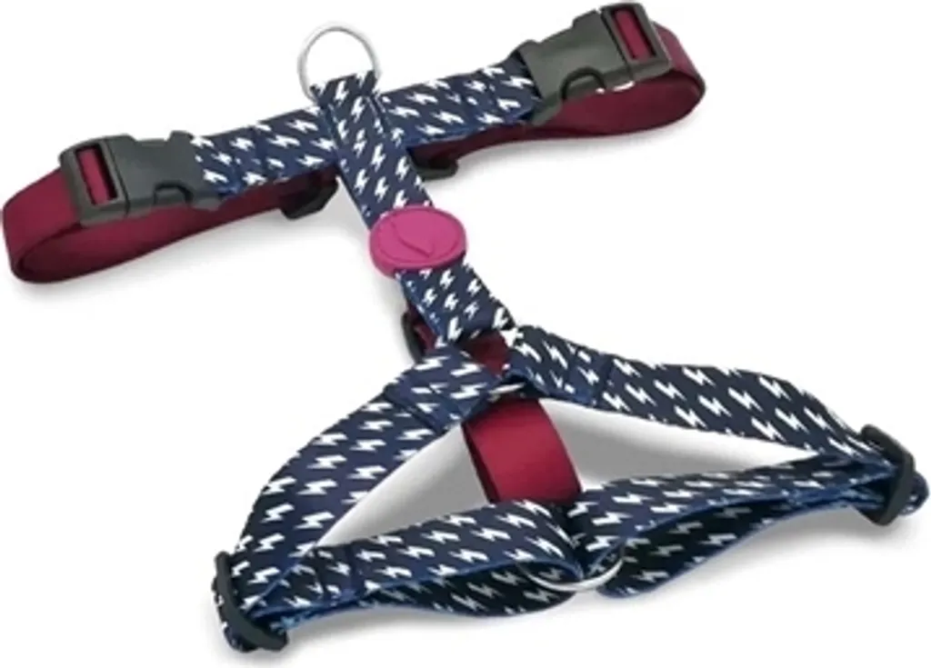 Pettorina Morso H-Harness Power Flow Recycled Nero: Sicurezza e Stile