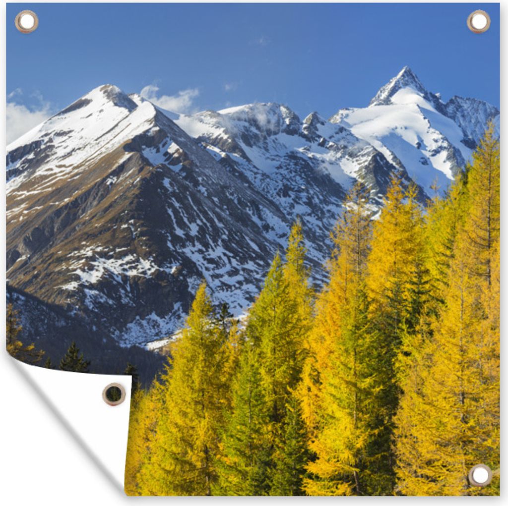 MuchoWow 50x50 cm Outdoor-Poster Gartendeko Sichtschutz Garten Poster für den Garten Bäume für den Großglockner in Österreich