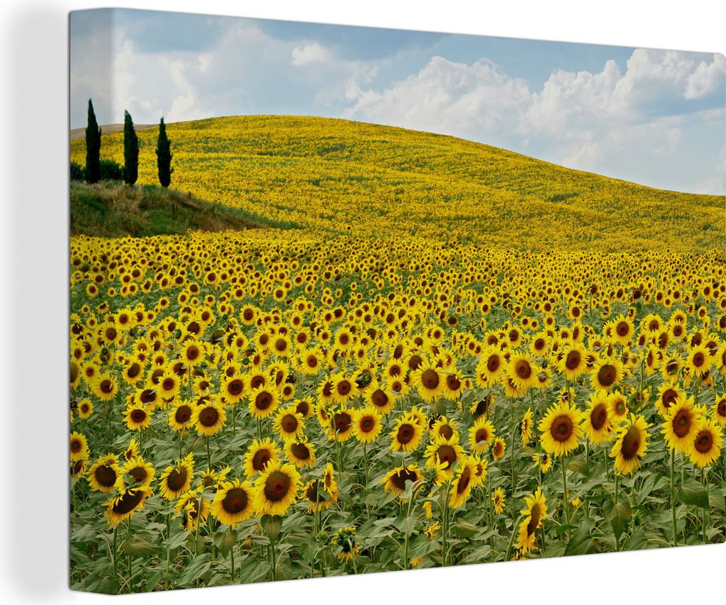 OneMillionCanvasses - Leinwandbilder - 140x90 cm, Hügel mit Sonnenblumen, Wandbilder Kunstdruck Wanddekoration - Foto auf Leinwand - Gemälde au...