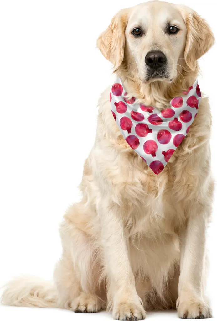 ABAKUHAUS Bandana per animali domestici con motivi fruttati, disegno acquerellato con melograni, 55x55 cm, corallo scuro e rosa essiccata