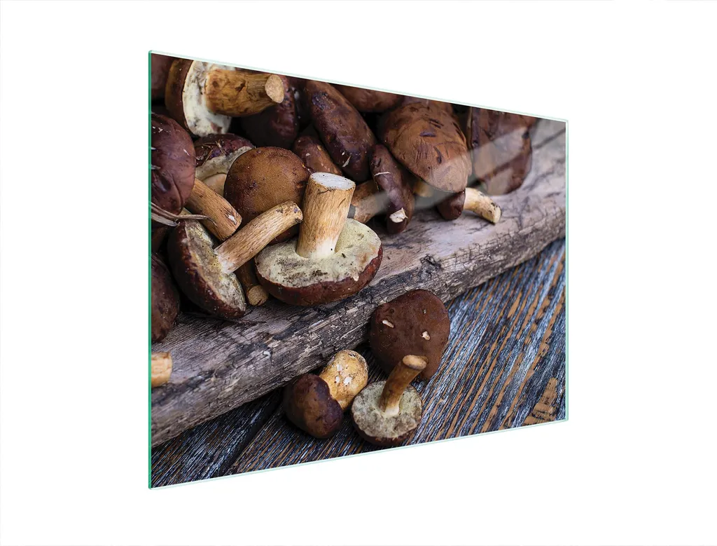 Tagliere Vetro Temperato 40x30 Fantasia Funghi - Antigraffio Online