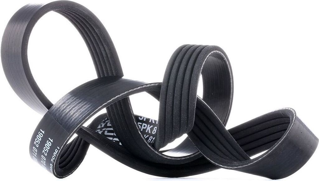 DAYCO Keilrippenriemen 5PK810 5PK810DAY