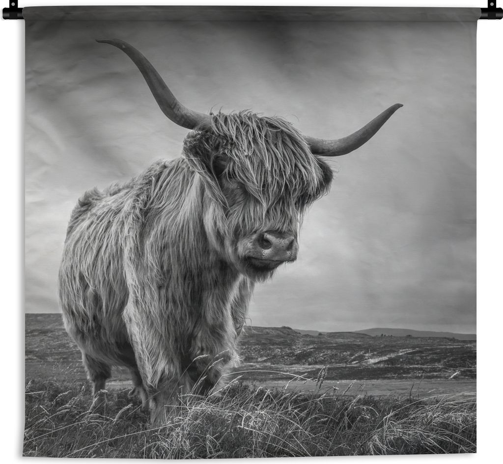 MuchoWow Wandteppich Wandbehang Kühe - Schottische Hochlandkühe - Natur - Tiere - Schwarz und weiß 60x60 cm Tapisserie Dekoration Wandtuch - D...