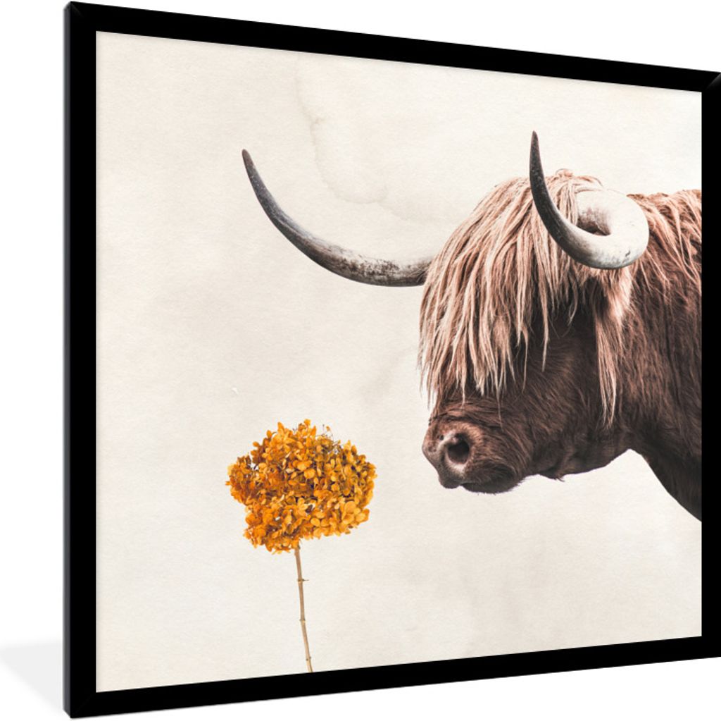 MuchoWow Gerahmtes Poster Schottischer Highlander - Kuh - Blume 40x40 cm - Poster mit Schwarzem Bilderrahmen Wandposter Rahmen Foto Bilder - Mit ...