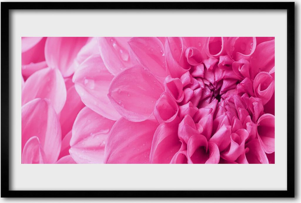 Bild 60x40 MDF-Rahmen Wandkunst Blumen Pflanzen Natur