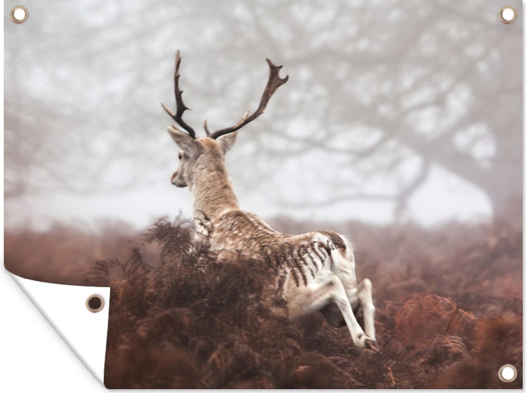 MuchoWow 80x60 cm Outdoor-Poster Gartendeko Sichtschutz Garten Poster für den Garten Hirsche - Natur - Nebel